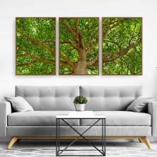 Quadro Composição Tronco Moldura Bege 3X 95X63Cm