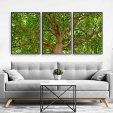 Quadro Composição Tronco Moldura Preta 3X 63X42Cm