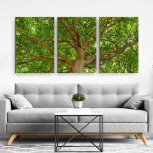 Quadro Composição Tronco No Chassi 3X 95X63Cm
