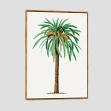 Quadro Coqueiro Vintage Tela Moldura Bege 63X42Cm