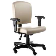 Cadeira Executiva Luxuosa com BraÃ§os Fixos Linha Alpha