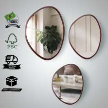 Kit Espelho Decorativo Orgânico Tabaco 35x50, 50x64 e 64x77 cm Marrom