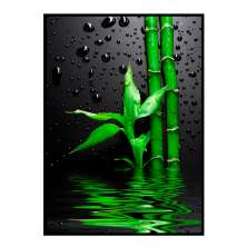 Quadro Decorativo Barcelona  Verde &amp; Gotas Vd 50x70 cm 
