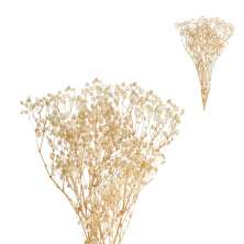 Galho Decorativo Seco Bege