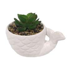 Vaso com Suculenta L Hermitage I Branco