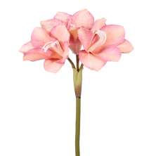 Haste Decorativa Amarilis Rosa