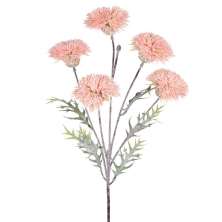 Haste Decorativa Crisantemo X5 Rosa