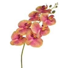 Haste Decorativa Orquídea Rosa