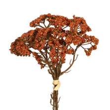 Ramelhete Decorativo Gypso X3 Laranja