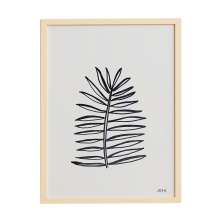 Quadro Folha de Coqueiro 40x60 - JOSH