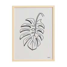 Quadro Folha de Coqueiro 60x80 - JOSH