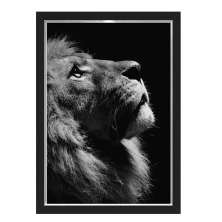 Quadro Caixa Leao Black