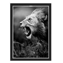 Quadro Caixa Leao Boca