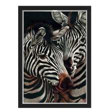 Quadro Caixa Zebras