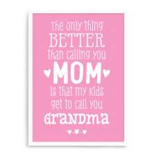 Quadro Decorativo 23x33cm Nerderia e Lojaria branco grandma branco