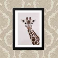 Quadro Giraffa Pescoço 33X43cm