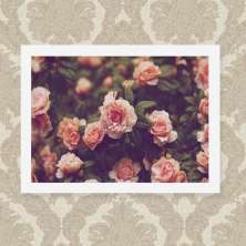 Quadro Rosas 33X43cm