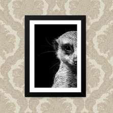 Quadro Suricate 33X43cm