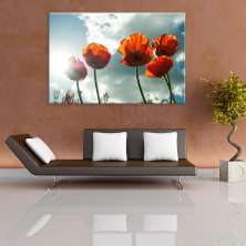 Tela Decorativa em Canvas Flores Red