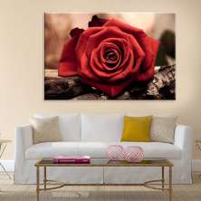 Tela Decorativa em Canvas Rosas