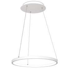 Lustre Pendente Arco Ring Anel Branco Led Bivolt 40cm 3000K