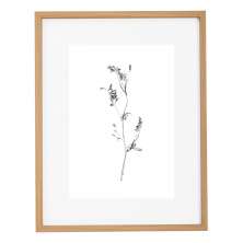 Quadro Decorativo Botanic I Marrom e Branco