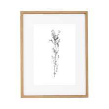 Quadro Decorativo Botanic III Marrom e Branco