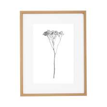 Quadro Decorativo Botanic IV Marrom e Branco
