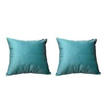Conjunto com 2 Capas de Almofada Quadrada Candy 45x45 Suede Suculenta