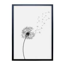 Quadro Contemporâneo Dente de Leão sem Vidro Preto e Branco 25x35 cm