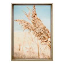 Quadro Natural Pluma I com Vidro Colorido 60x90 cm
