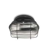 Tartaruga Preto Com Ferro E Vidro 1 Lamp - Nacional Iluminação