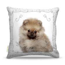Almofada Dog 09 45X45Cm
