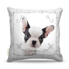 Almofada Dog 19 45X45Cm