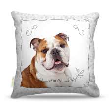 Almofada Dog 20 45X45Cm