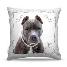 Almofada Dog 29 45X45Cm