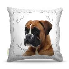 Almofada Dog Boxer 45X45Cm