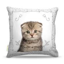 Almofada Nerderia Cat 03