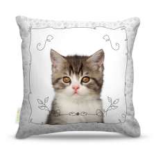 Almofada Nerderia Cat 04