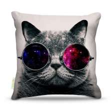 Almofada Nerderia Cat Glass