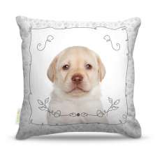 Almofada Nerderia Dog 08