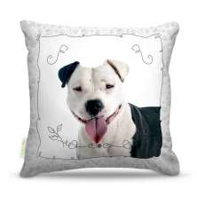 Almofada Nerderia Dog 21