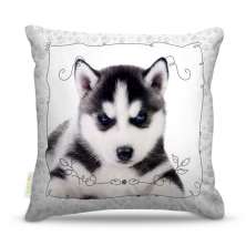 Almofada Nerderia Dog33