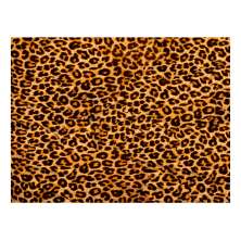 Jogo Americano (Kit 4 Unidades) Nerderia e Lojaria pele leopardo colorido