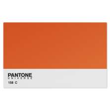 Jogo Americano Nerderia Pantone Laranja