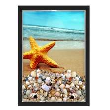 QUADRO CAIXA 33X43  PORTA CONCHAS NERDERIA E LOJARIA conchas estrela do mar 02 preto