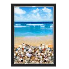 QUADRO CAIXA 33X43  PORTA CONCHAS NERDERIA E LOJARIA conchas praia preto