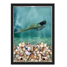 QUADRO CAIXA 33X43  PORTA CONCHAS NERDERIA E LOJARIA conchas sereia preto