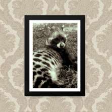 Quadro Animal 23X33cm