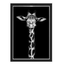 Quadro Caixa  33x43 cm (Com Led) Lojaria e Nerderia. girafa preto